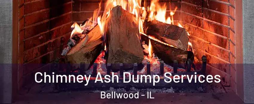  Chimney Ash Dump Services Bellwood - IL