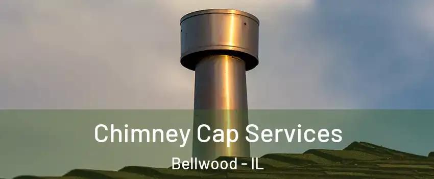  Chimney Cap Services Bellwood - IL