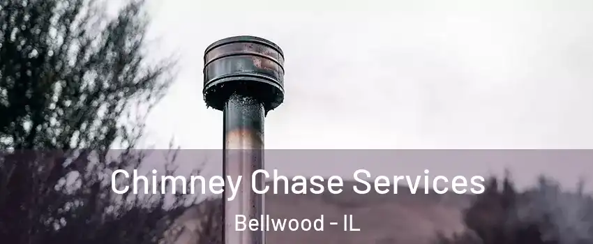  Chimney Chase Services Bellwood - IL