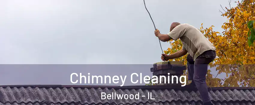  Chimney Cleaning Bellwood - IL