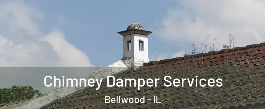  Chimney Damper Services Bellwood - IL