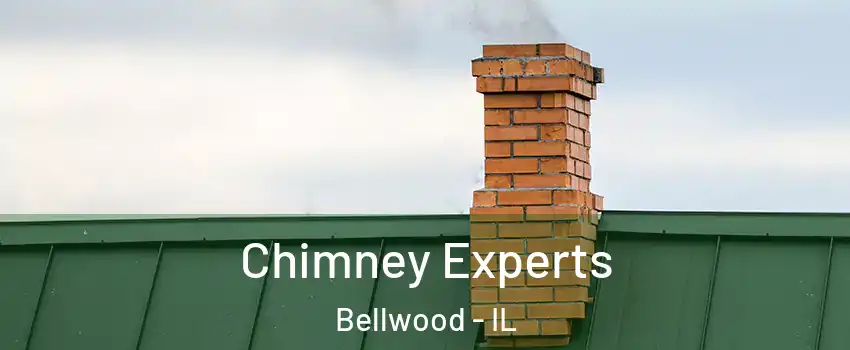  Chimney Experts Bellwood - IL