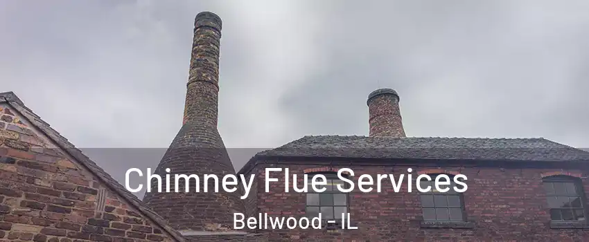  Chimney Flue Services Bellwood - IL
