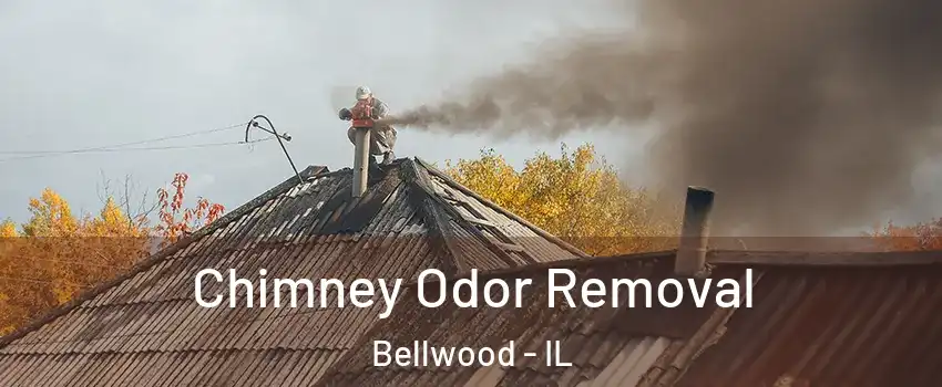  Chimney Odor Removal Bellwood - IL