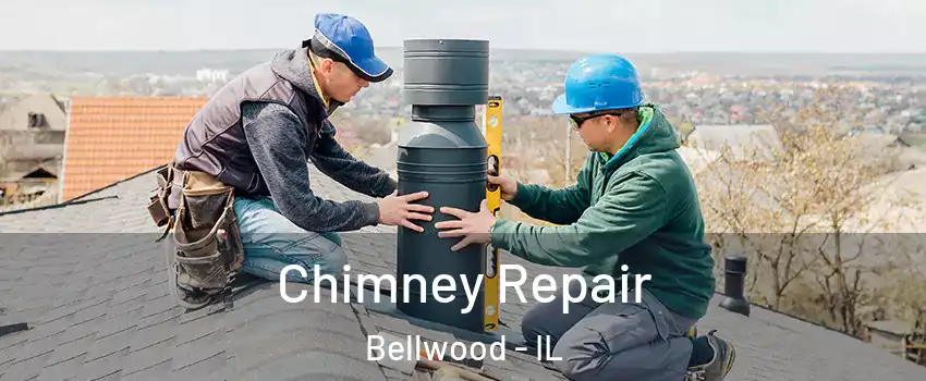  Chimney Repair Bellwood - IL