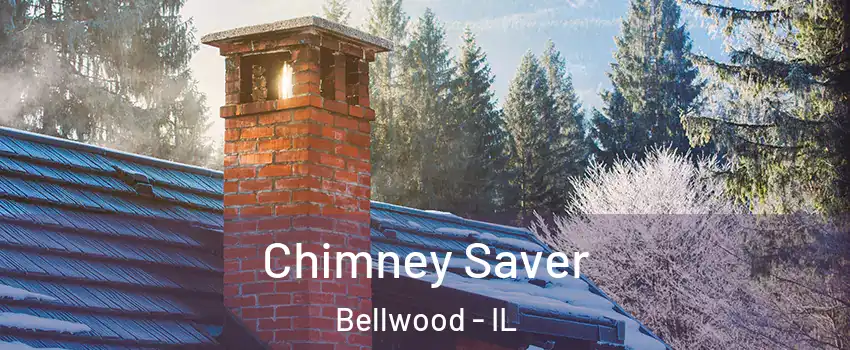  Chimney Saver Bellwood - IL