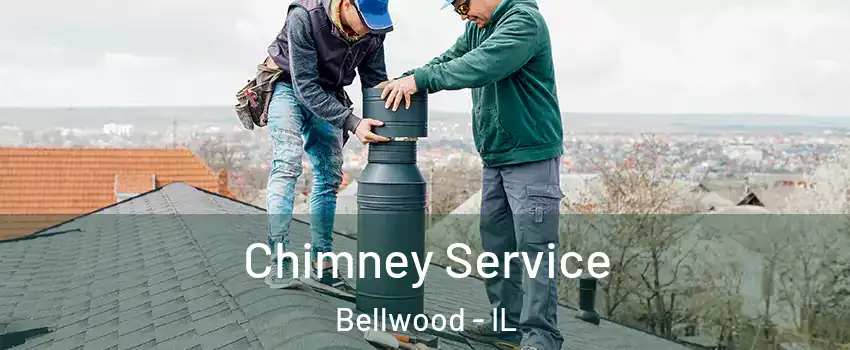  Chimney Service Bellwood - IL
