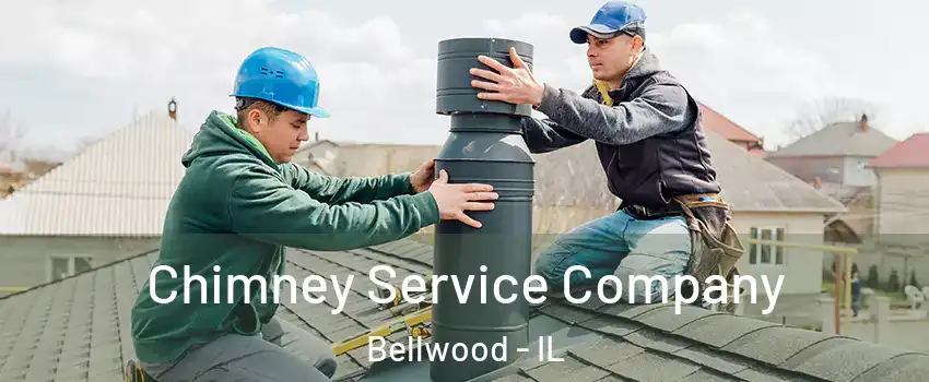  Chimney Service Company Bellwood - IL