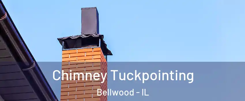  Chimney Tuckpointing Bellwood - IL