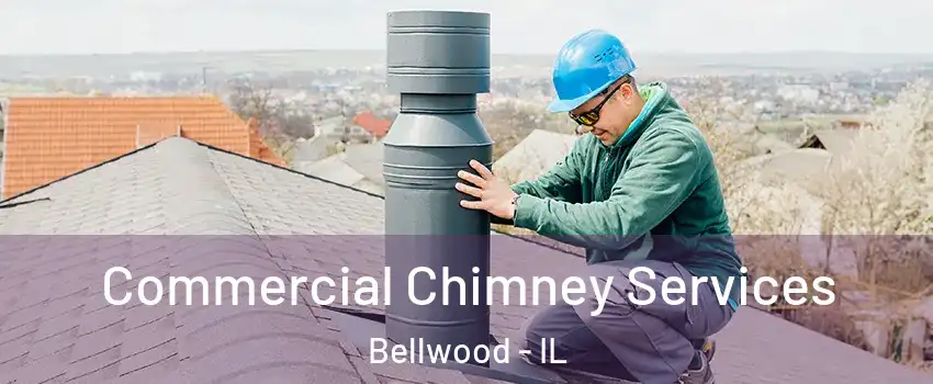  Commercial Chimney Services Bellwood - IL