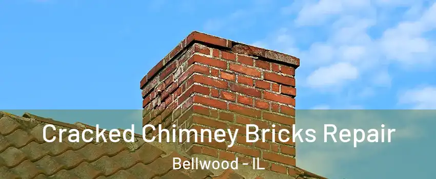  Cracked Chimney Bricks Repair Bellwood - IL