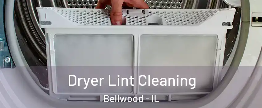  Dryer Lint Cleaning Bellwood - IL
