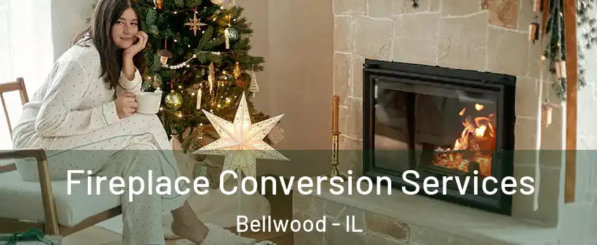  Fireplace Conversion Services Bellwood - IL