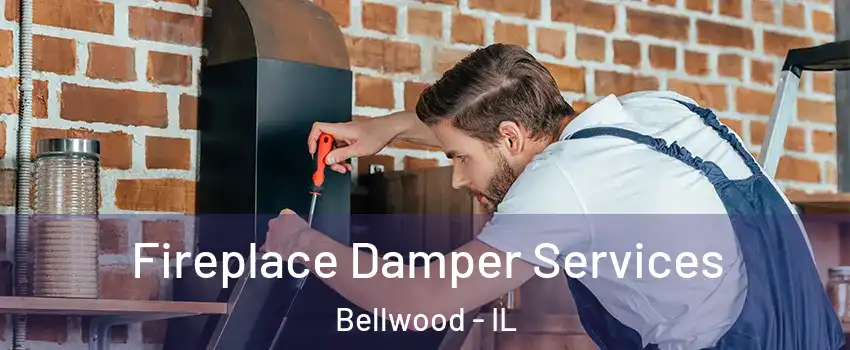  Fireplace Damper Services Bellwood - IL