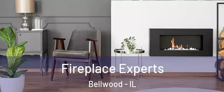 Fireplace Experts Bellwood - IL