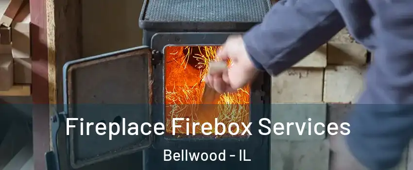  Fireplace Firebox Services Bellwood - IL