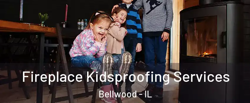  Fireplace Kidsproofing Services Bellwood - IL
