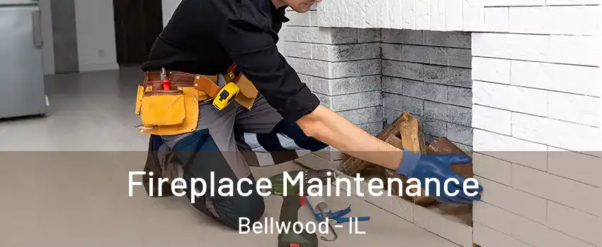  Fireplace Maintenance Bellwood - IL