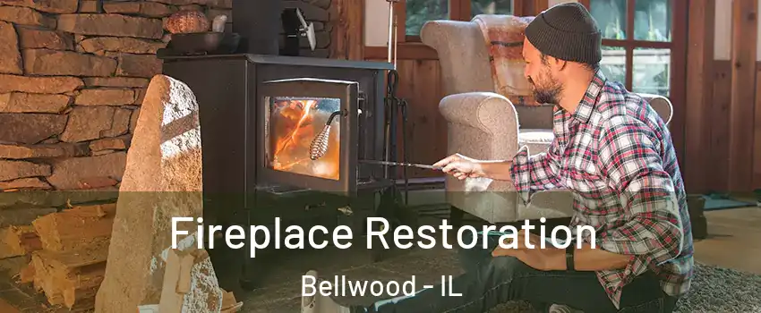  Fireplace Restoration Bellwood - IL