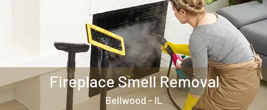  Fireplace Smell Removal Bellwood - IL