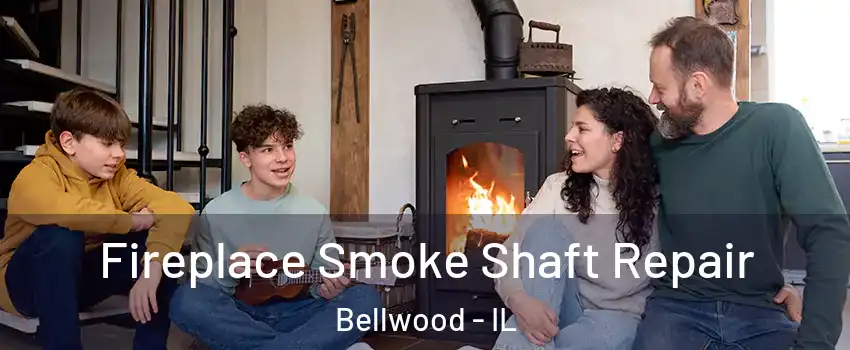  Fireplace Smoke Shaft Repair Bellwood - IL