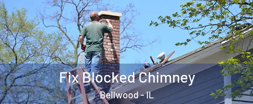  Fix Blocked Chimney Bellwood - IL