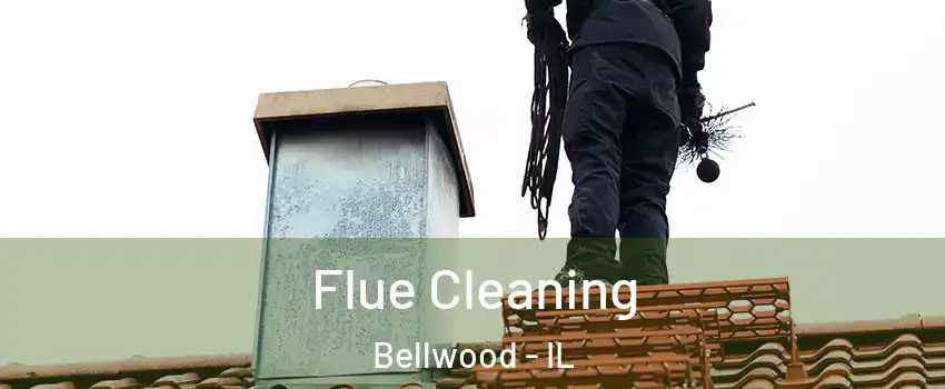  Flue Cleaning Bellwood - IL