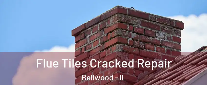  Flue Tiles Cracked Repair Bellwood - IL