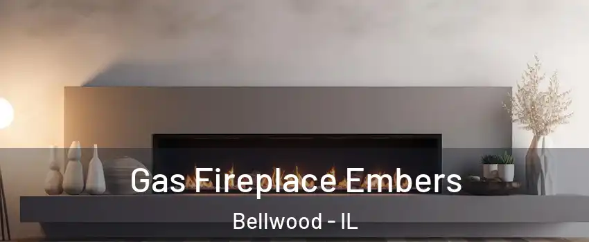  Gas Fireplace Embers Bellwood - IL