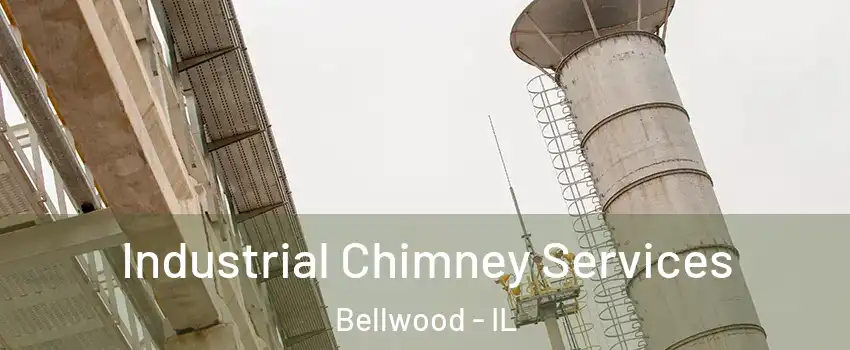  Industrial Chimney Services Bellwood - IL