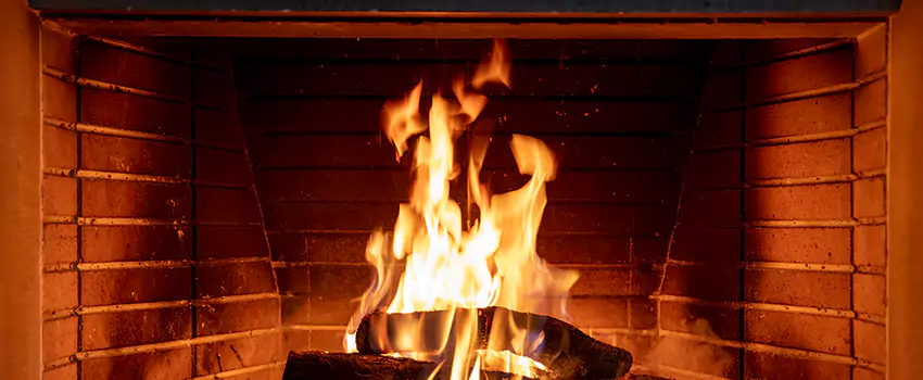 Soot Cleanup Services in Bellwood, IL