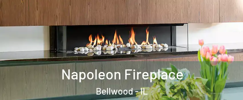  Napoleon Fireplace Bellwood - IL