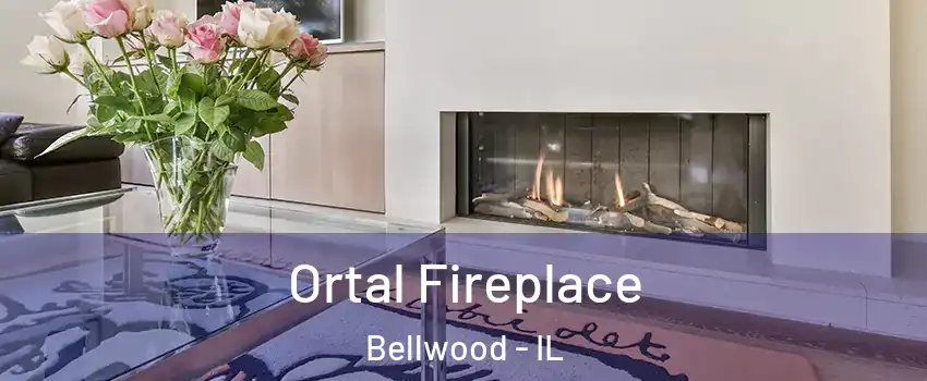  Ortal Fireplace Bellwood - IL