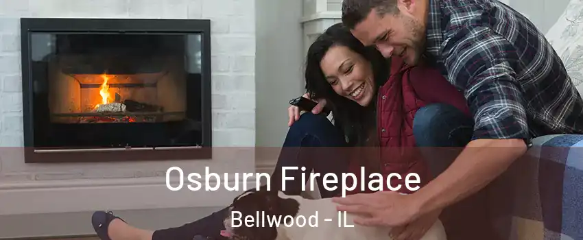  Osburn Fireplace Bellwood - IL